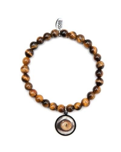 Ladies' Bracelet CO88 Collection 8CB-90042 Brown