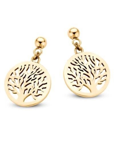 Damenohrringe CO88 Collection 8CE-70028 Gold