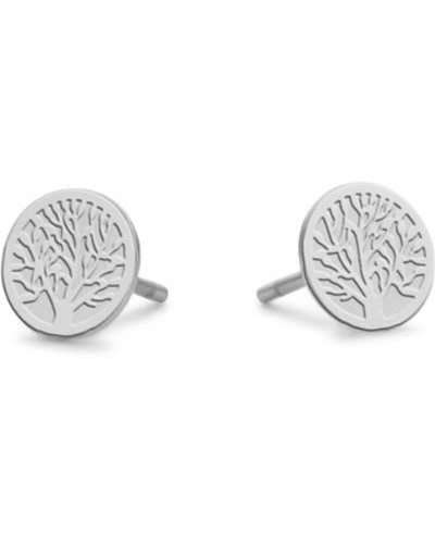 Oorbellen Dames CO88 Collection 8CE-70138 Zilverkleurig