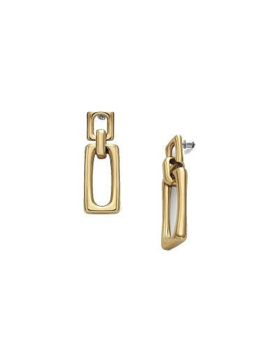 Damenohrringe Skagen SKJ1701710 Gold