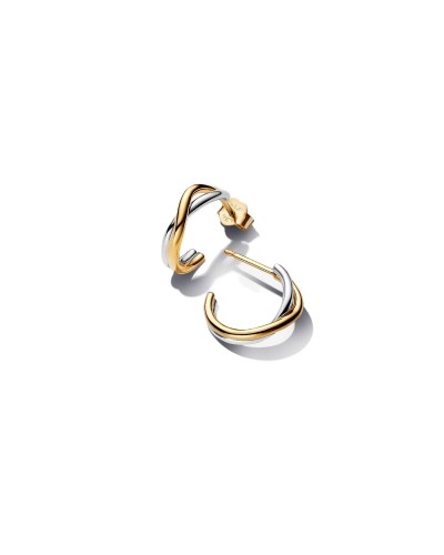 Oorbellen Dames Pandora 263880C00 Gouden Zilverkleurig