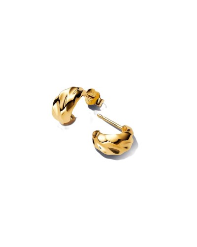 Ladies' Earrings Pandora 263873C00 Golden
