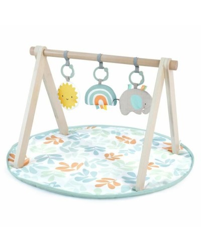 Ingenuity Spielmatte für Neugeborene mit Bögen und interaktiven Spielen
