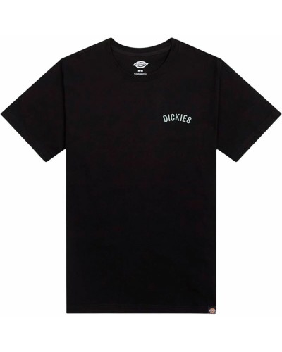 T-shirt à manches courtes homme Dickies Dickies Snake Ss Tee Noir