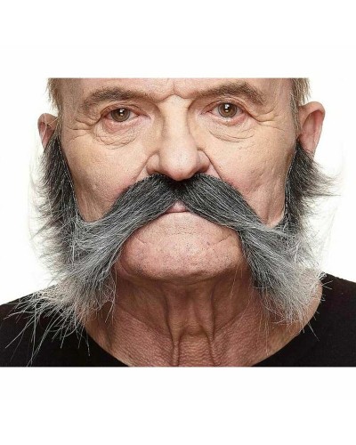 Fausse barbe My Other Me Gris