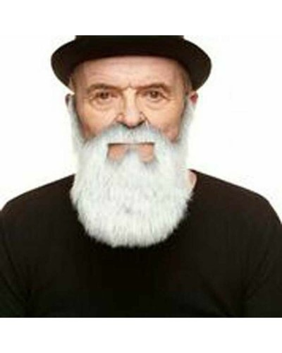 Valse baard My Other Me Wit