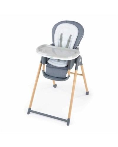 Seggiolone Ingenuity Grigio