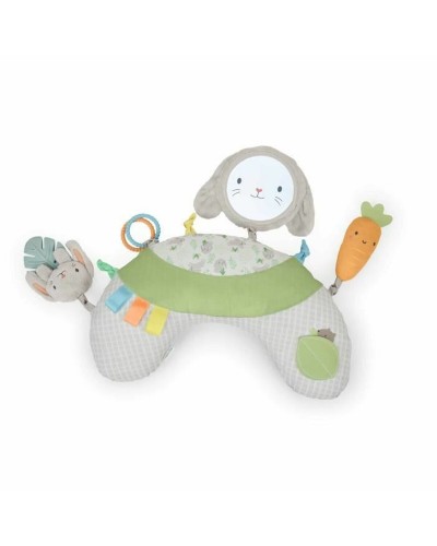 Play mat Ingenuity Cloth Foam