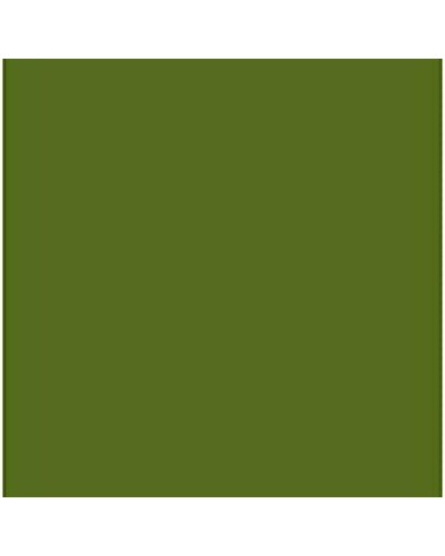 Cartoncini Iris Verde militare 50 x 65 cm