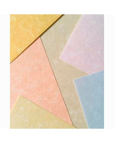 Pergamenttipaperi Michel Ruskea A4 100 Levyt