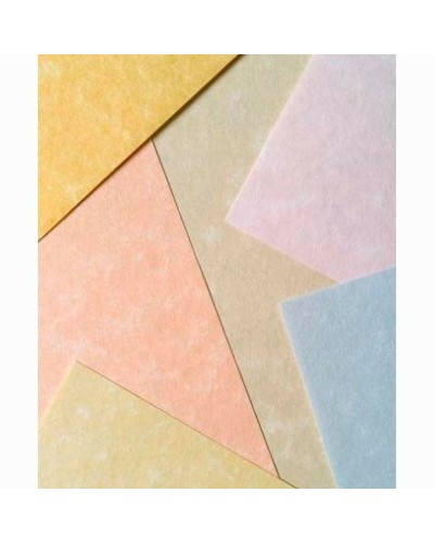 Papier parchemin Michel Blanc A4 100 Volets