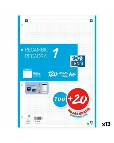 Rutnätsark Oxford A4 120 Blad (13 antal)