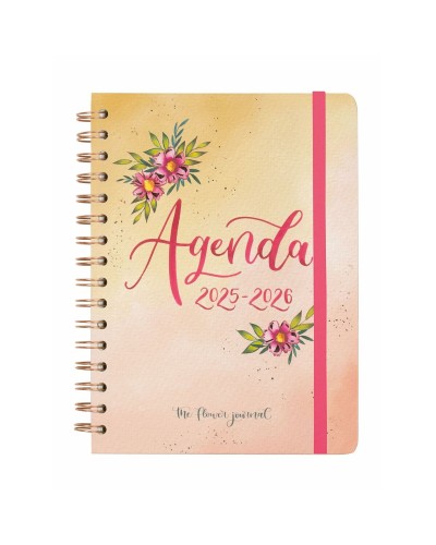 Agenda Finocam