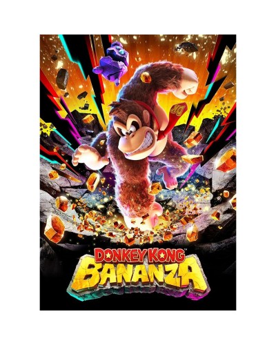 Draagbare Spelcomputer Nintendo 10016238