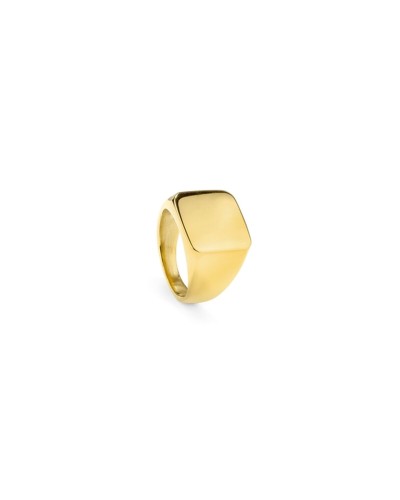Ring Heren Radiant RH000027-24 24