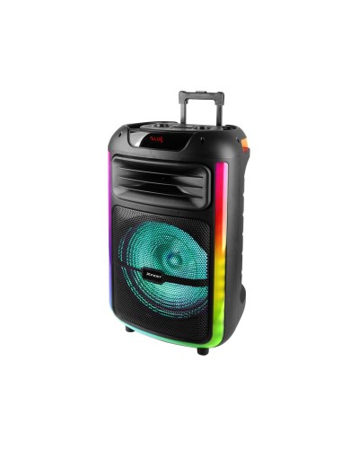 Dankzij de draagbare Bluetooth®-luidsprekers Trevi Trevi XF 1400 KB Zwart 100 W