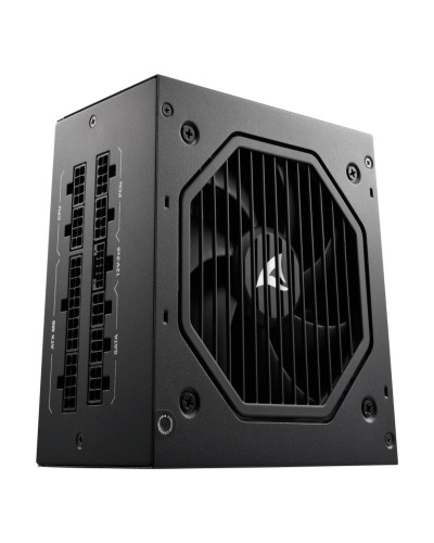 Bloc d’Alimentation Sharkoon Rebel P20 1200 W