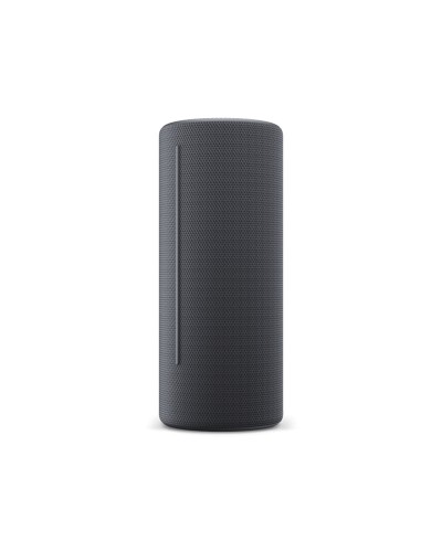 Bluetooth Speakers Loewe Grey