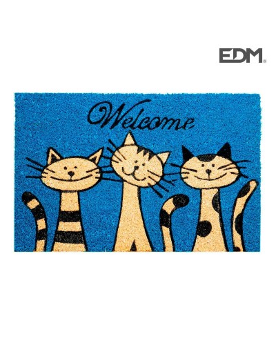 Fußmatte EDM, 60 x 40 cm, Hellblau, für Innen-/Außenbereich, Modern und Rutschfest
