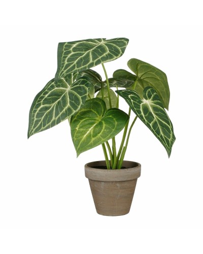 Planta Artificial Mica Decorations Caladium, Ø 21 cm, H 28 cm
