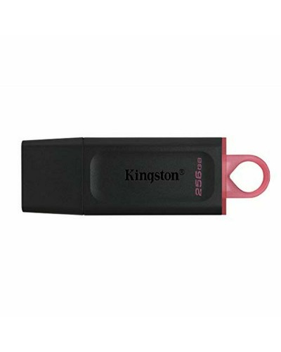 USB stick Kingston DTX/256GB Black 256 GB