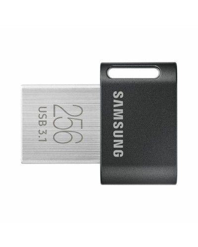 USB stick Samsung MUF-256AB/APC Silver 256 GB