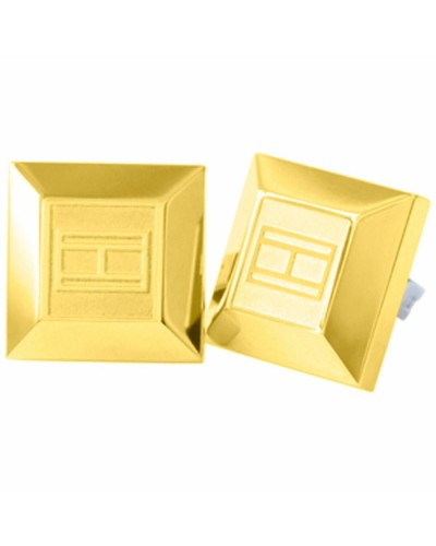 Ladies' Earrings Tommy Hilfiger 2700646 Stainless steel 1 cm