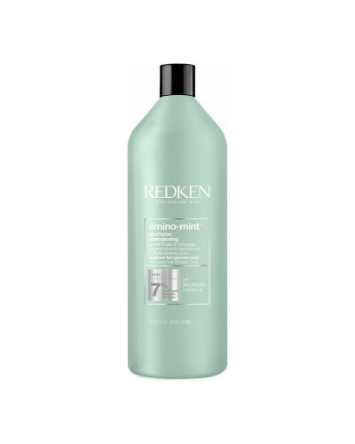 Schampo Redken Amino Mint 1 L