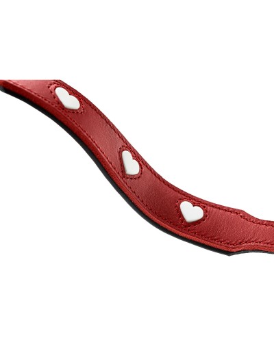 Hunter Hundeleine Rot 2m - Verstellbar, Robust, Spaziergänge
