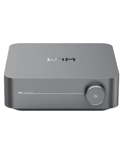 Amplificatore Wiim WIIN AMP