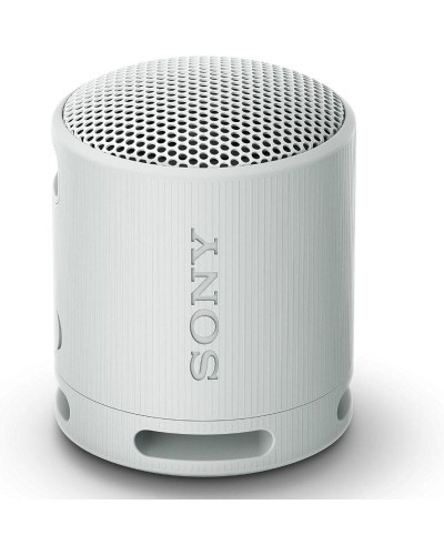 Haut-parleurs bluetooth portables Sony XB100 Gris