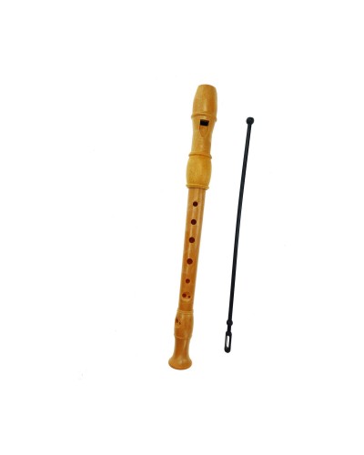 Recorder Reig