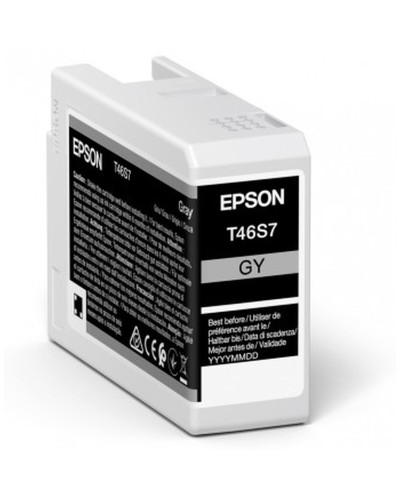 Alkunperäinen mustepatruuna Epson C13T46S700 25 ml Musta Harmaa