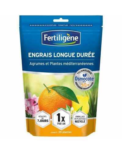 Engrais Fertiligène Premium 700 g pour Croissance et Floraison Luxuriantes

