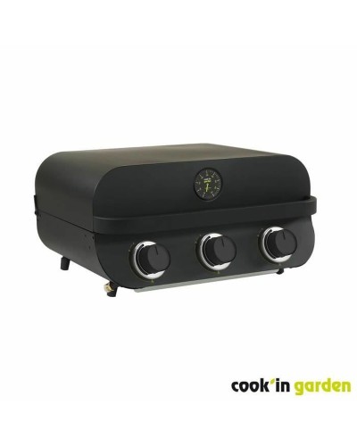 Grill Tragbarer Cook'in Garden Metall 60 x 40 cm
