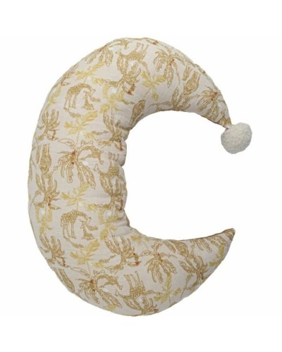 Coussin Domiva Lisse