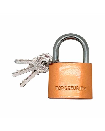 Key padlock Micel Brass 50 mm Bow