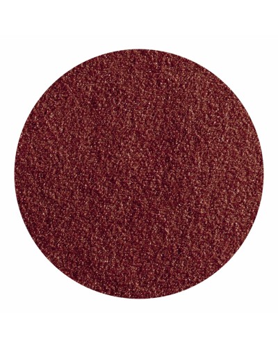 Disques abrasifs Wolfcraft (5 Unités)