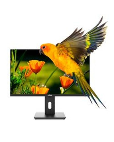 Écran Nilox NXM24REG02 Full HD 75 Hz