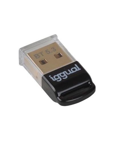 USB Hub iggual IGG319383