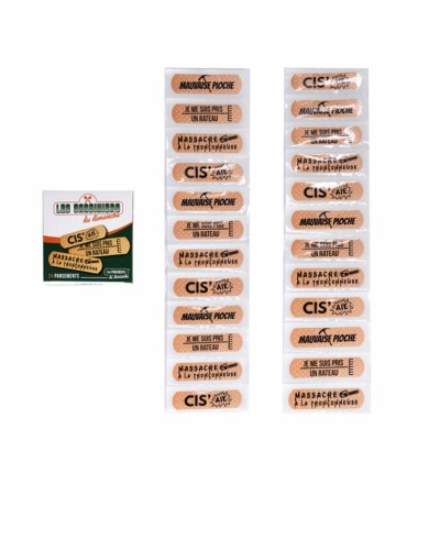 Pansements Stréilisés Take Care Les Jardiniers 24 Unités