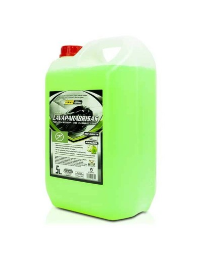 Ruitenwsser 5 L Appel