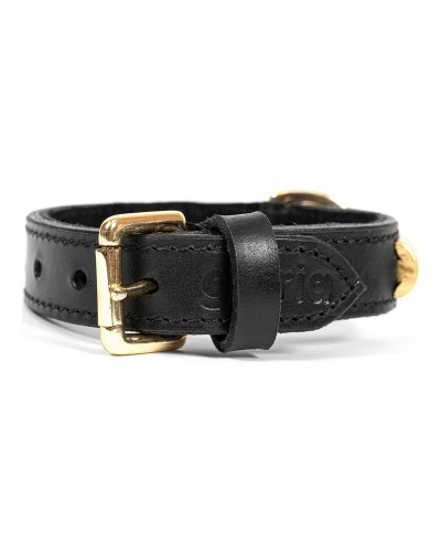 Gloria Duna Black Dog Collar with Golden Details, 50 x 2.5 cm
