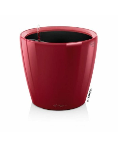Bloempot Lechuza Rood Polypropyleen Cirkelvormig