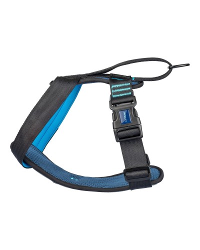 Company of Animals Carsafe Harnais Voiture pour Chien Bleu XS - Testé Antichoc
