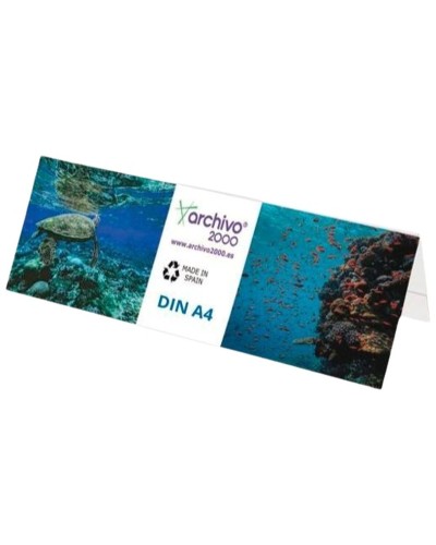 Counter Display Archivo 2000 Transparent A4 PET