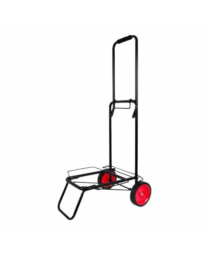 Chariot Utilitaire Plage Multi-usages Colorbaby 62132, Résistant et Pratique
