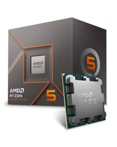Procesador AMD 100-100001591BOX AMD AM5
