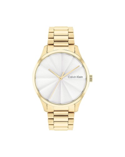 Miesten rannekellot Calvin Klein 25200232