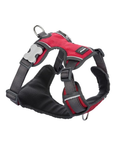 Koiran valjaat Red Dingo Punainen XL